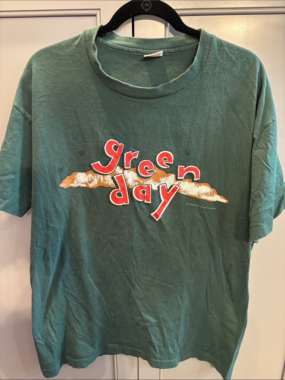 Vintage Green Day DOOKIE 1994 Tour Shirt XL
